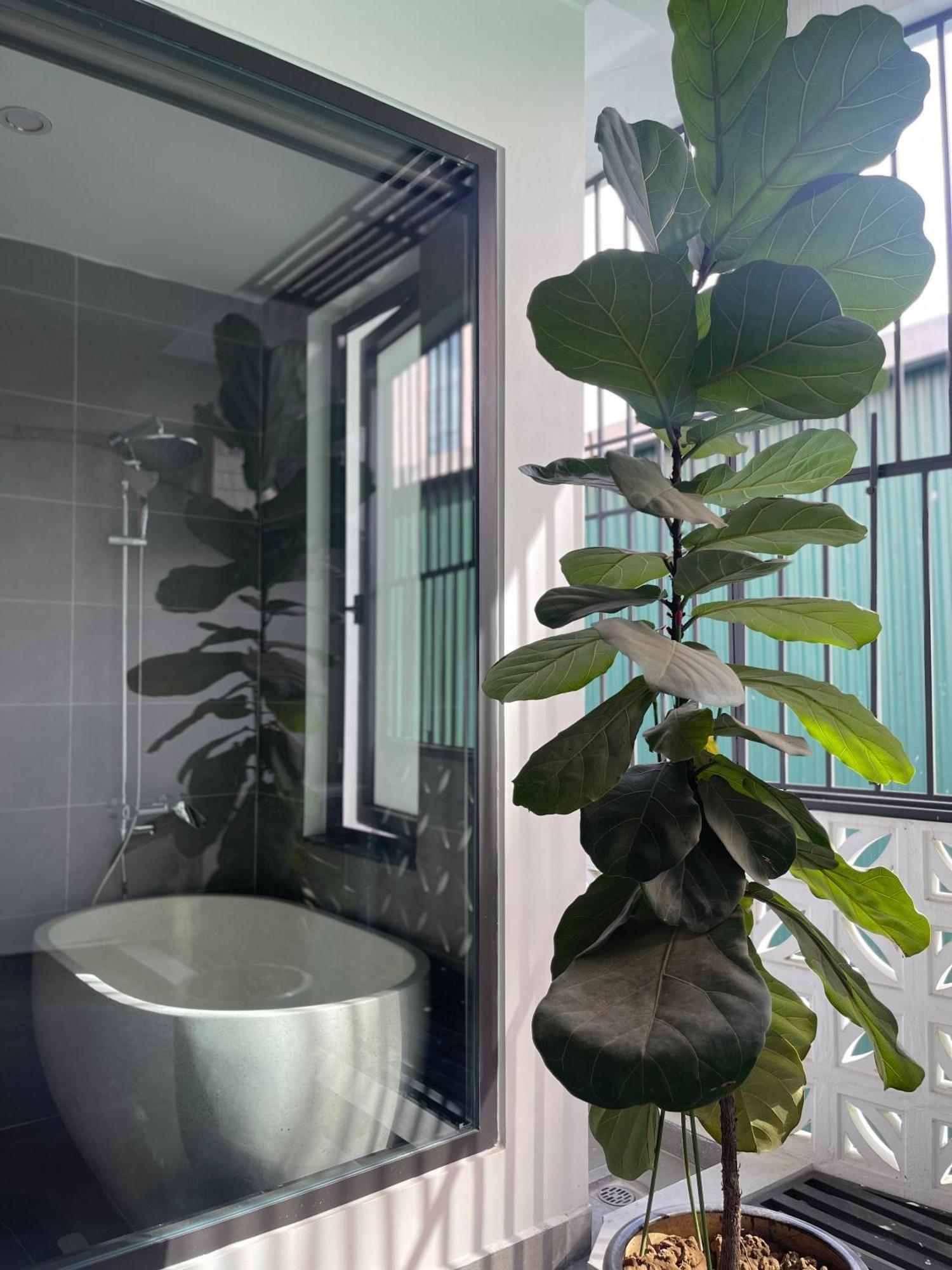 Alala Homestay- Tuyen Quang City Center- Trung Tam Thanh Pho Tuyen Quang Zewnętrze zdjęcie